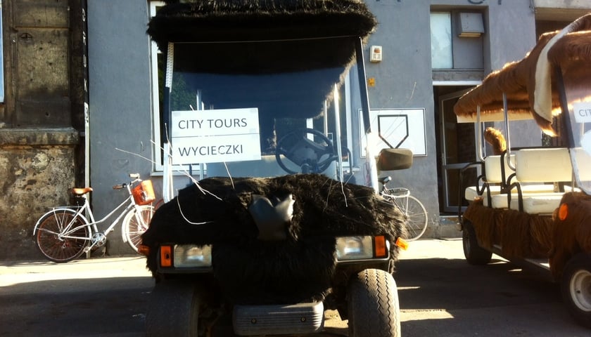 Po Wrocławiu jeżdżą meleksy... z ogonami