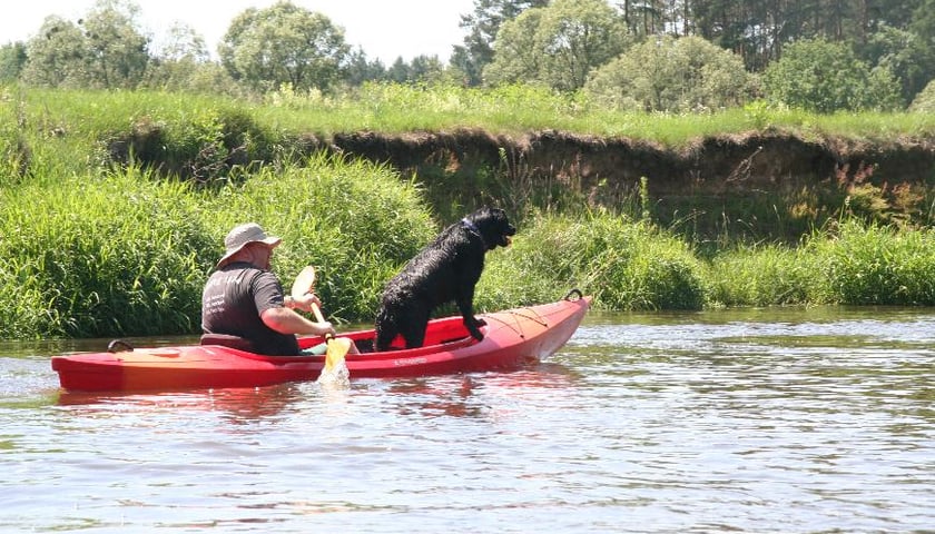 Zabierz pupila na spływ kajakowy!