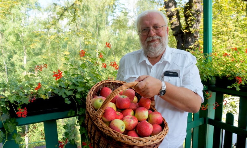 Zoo i aquapark rozdają jabłka