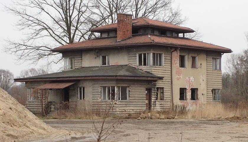Szukają śladów przodków we Wrocławiu