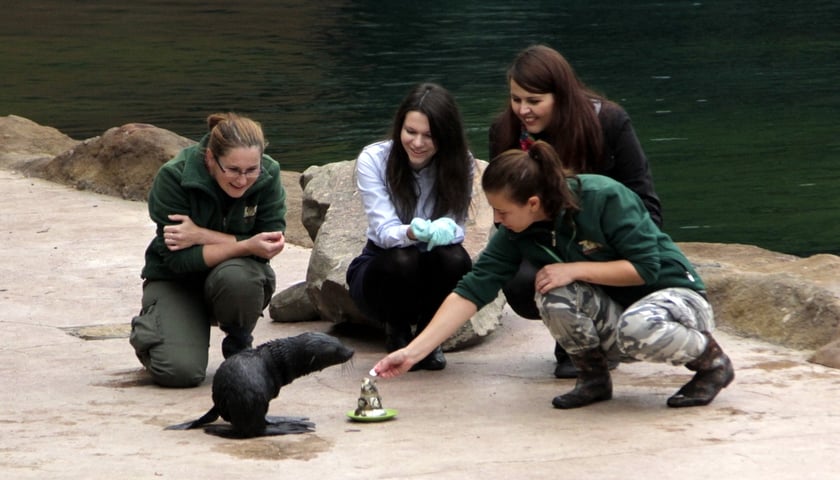 Chrzciny w zoo! [WIDEO]