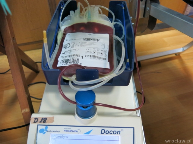 Zobacz, jak oddaje się krew w RCKiK we Wrocławiu [WIDEO]