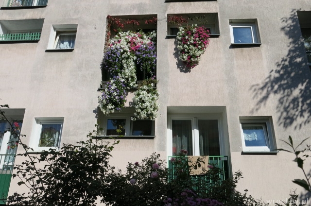 Widząc balkon, przechodnie biją brawo [WIDEO]