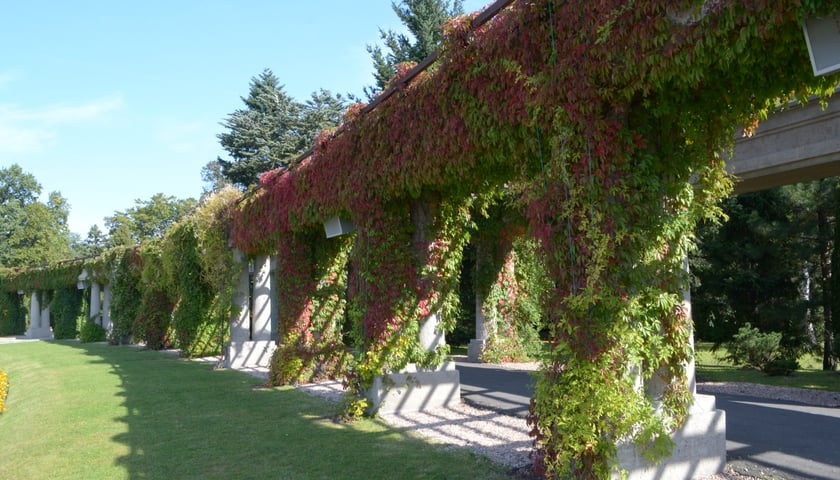 Słoneczny i ciepły piątek