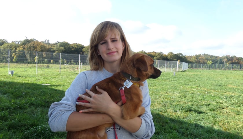 Wrocławianka ratuje psy z Sarajewa