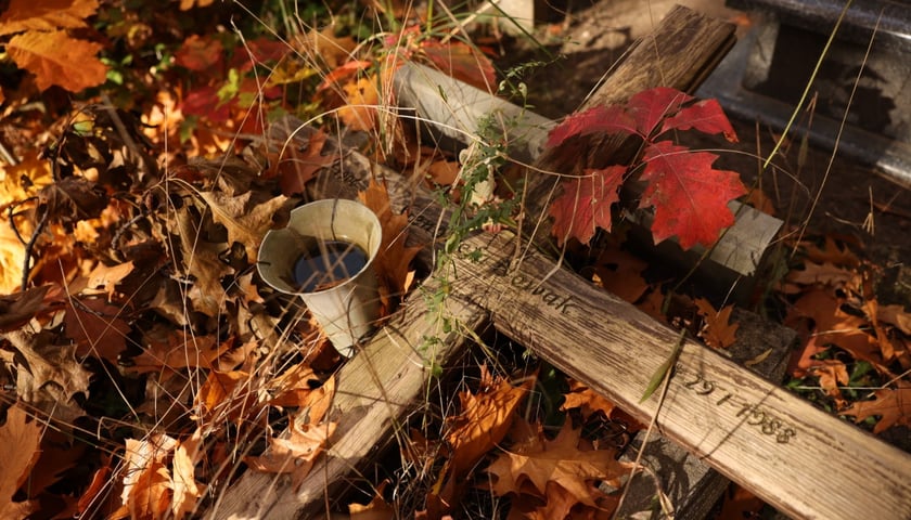 Zapomniany nagrobek na jednym z wrocławskich cmentarzy. Zdjęcie archiwalne, ilustracyjne.