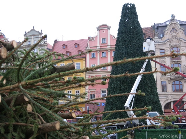 Trwa montaż choinki na Rynku [ZDJĘCIA]