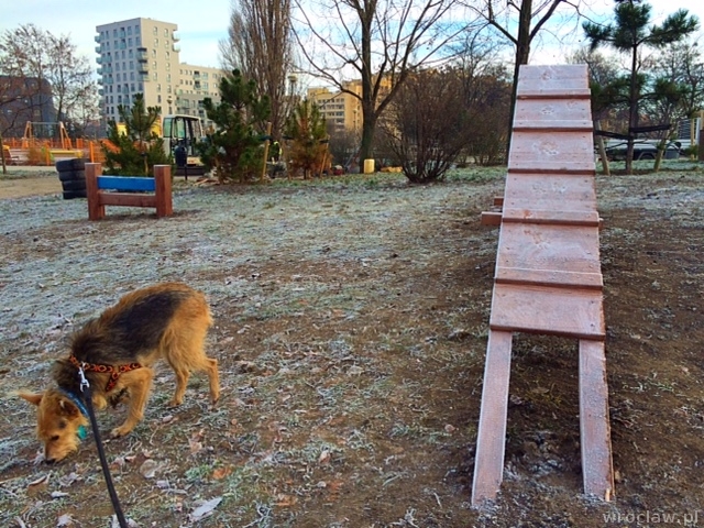 Psie skoki i przeskoki na Wzgórzu Słowiańskim