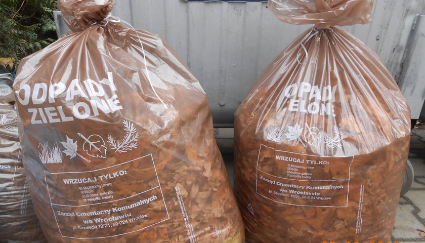 Odpady zielone znowu są odbierane