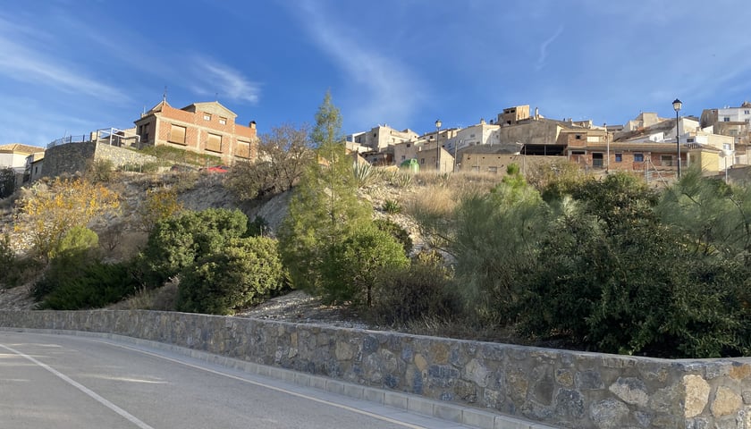 Na zdjęciu znajduje się ulica z murem oporowym i krzewami na skarpie. Za krzewami widoczne budynki i niebo. / The photo shows a street with a retaining wall and shrubs on the slope. Buildings and sky are visible behind the shrubs.