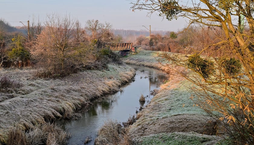 Ulica Strzegomska przebiega nad rzeką Ślęzą. Na potrzeby buspasa będzie musiał powstać most&nbsp;