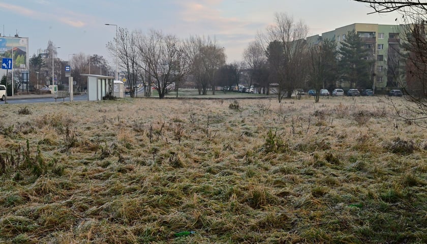 Niezabudowany teren przy ulicy Mińskiej, miedzy Roślinną a Stachury, na kt&oacute;rym powstać ma pętla autobusowo-tramwajowa. Jest tu przystanek 
