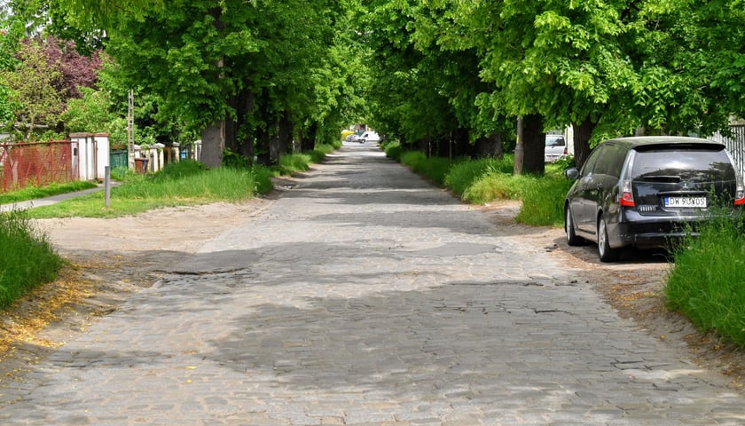 Tak latem prezentuje się ulica Pawia (zdjęcie archiwalne z 2023 r.)