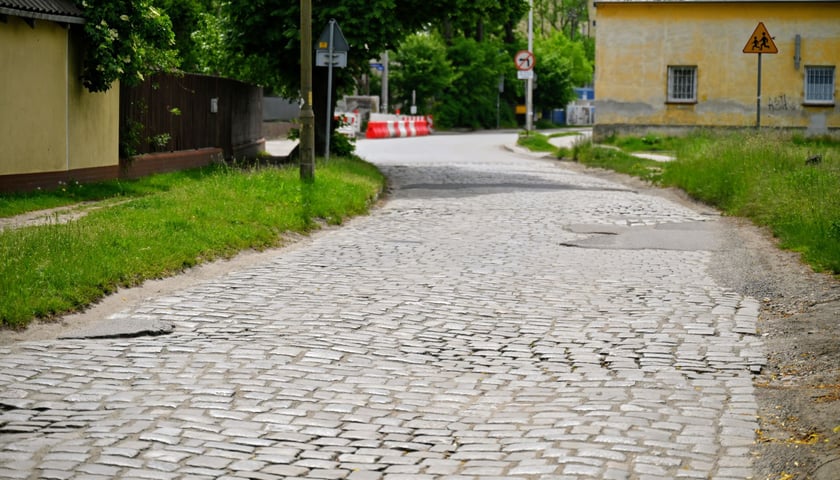 Tak latem prezentuje się ulica Pawia (zdjęcie archiwalne z 2023 r.)