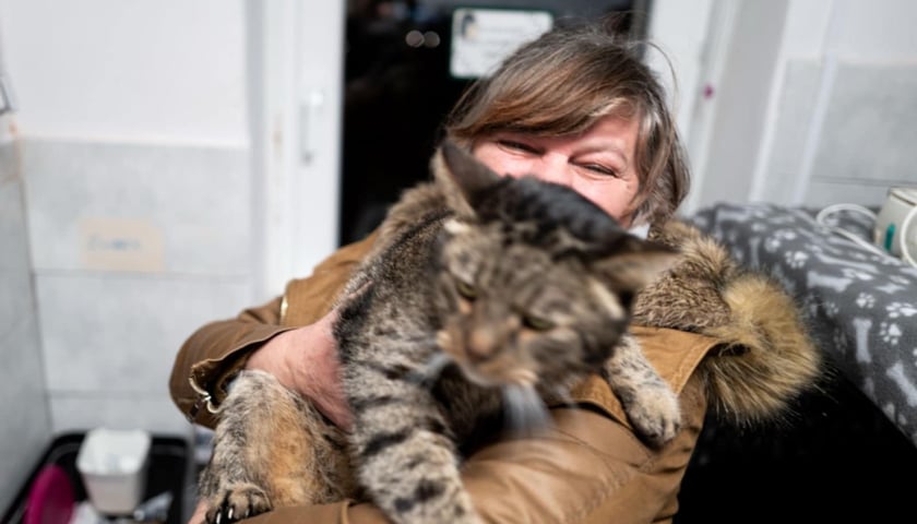 Pani Halina z kotem Psotkiem