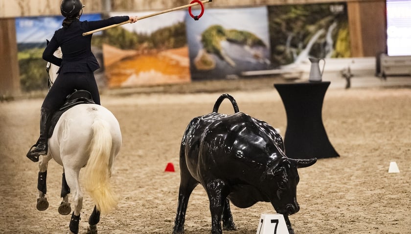 Powiększ obraz: Zawody Working Equitation