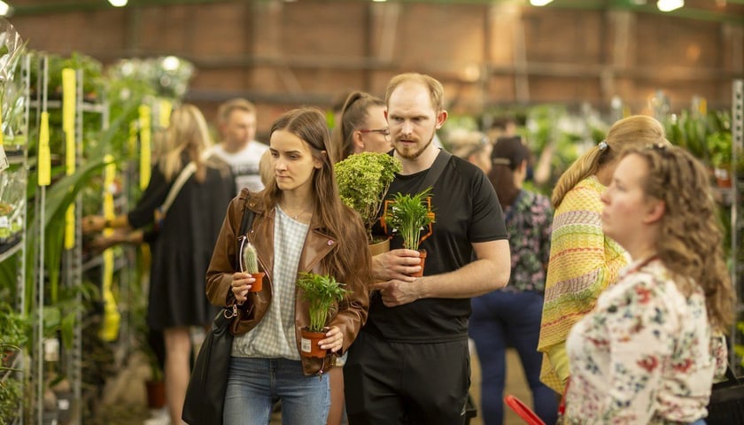 Powiększ obraz: Festiwal roślin Wrocław