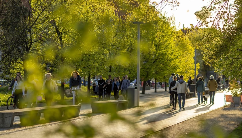 majowy wieczór we Wrocławiu, na zdjęciu bulwary nad Odrą, spacerujący ludzie