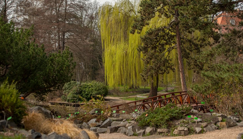 Powiększ obraz: Ogród Botaniczny Uniwersytetu Wrocławskiego