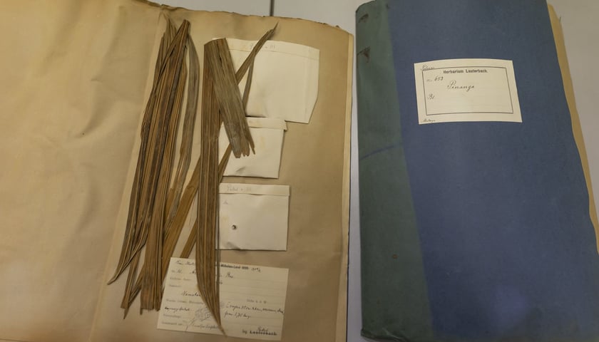 Herbarium. Muzeum Przyrodniczego Uniwersytetu Wrocławskiego