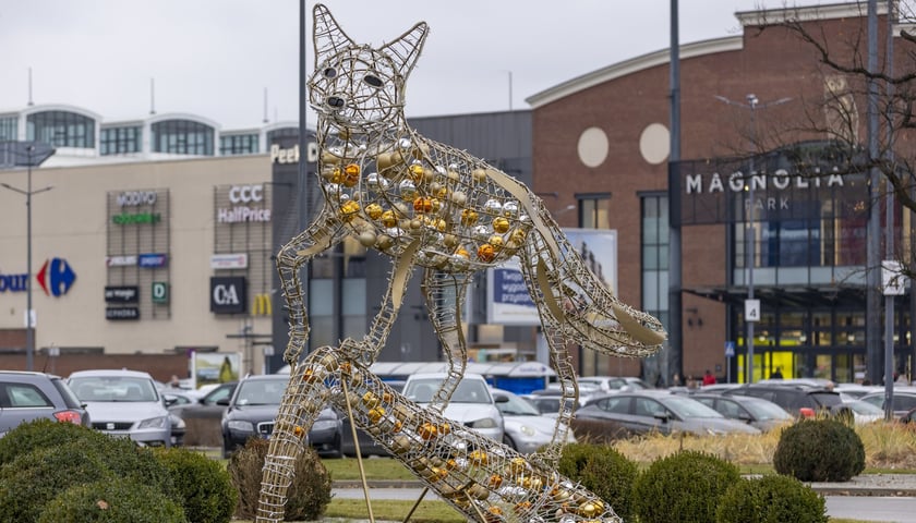 Na zdjęciach klienci w galerii handlowej we Wrocławiu