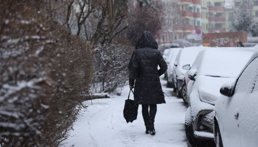 Na zdjęciach ulice we Wrocławiu w śniegu, 21.01.2023 r.