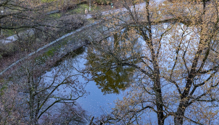 Powiększ obraz: Staw przy ul. Kazimierskiej