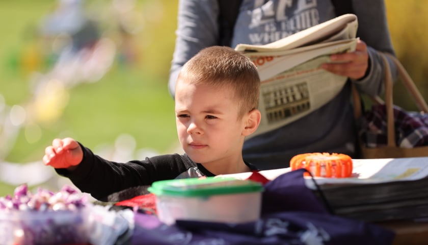 Piknik i gra terenowa na Popowicach zorganizowane przez Wrocławskie Centrum  Rozwoju Społecznego