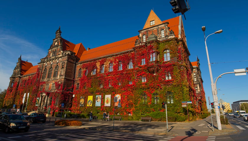 Powiększ obraz: Muzeum Narodowe we Wrocławiu o każdej porze roku wygląda pięknie, a to dzięki ścianom wypełnionym bluszczami.