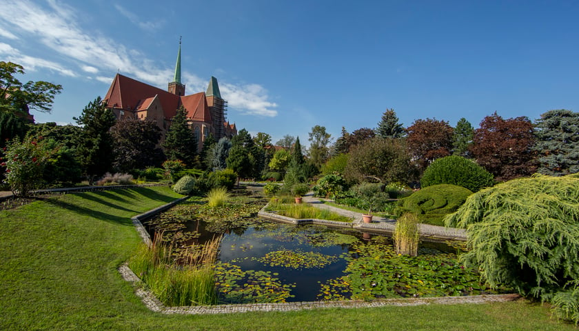 Powiększ obraz: Ogród Botaniczny Uniwersytetu Wrocławskiego o każdej porze roku jest piękny i zielony!