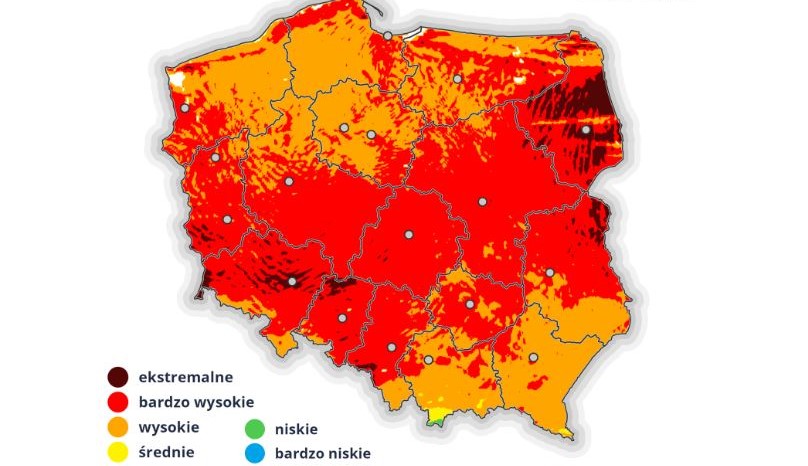 Powiększ obraz: zagrożenie pożarowe w lasach