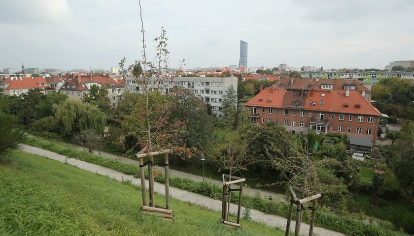 Powiększ obraz: Na zdjęciu panorama Wrocławia widoczna ze szczytu Górki Pafawag / Wzgórza Gajowickiego