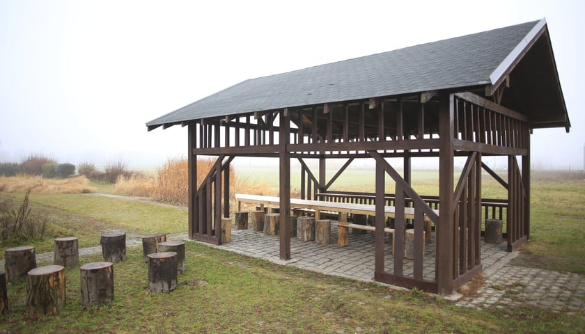 Farma Miejska Wrocław to projekt, kt&oacute;ry łączy zr&oacute;wnoważone rolnictwo z funkcją społeczną