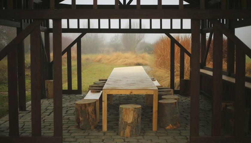 Farma Miejska Wrocław to projekt, kt&oacute;ry łączy zr&oacute;wnoważone rolnictwo z funkcją społeczną