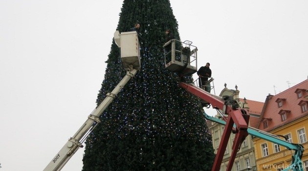 Christmas tree assembled in the Square [PHOTOS]