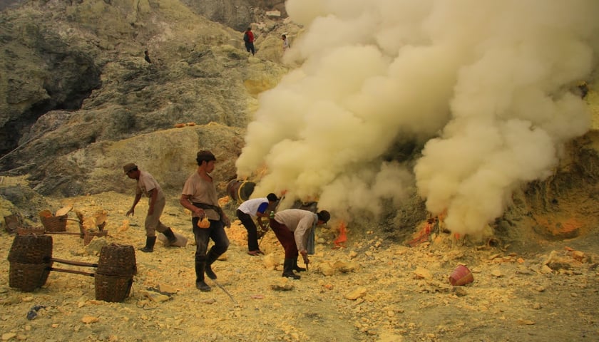 Dokument Glawoggera w DCF-ie