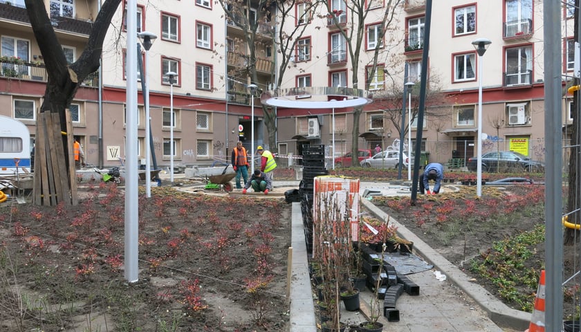 Uroczyste rozświetlenie interaktywnej instalacji Aureola Jakuba Szczęsnego nastąpi 14 grudnia