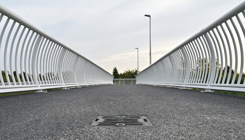 Kładka nad Ślęzą łącząca Muchobór Mały z Muchoborem Wielkim.