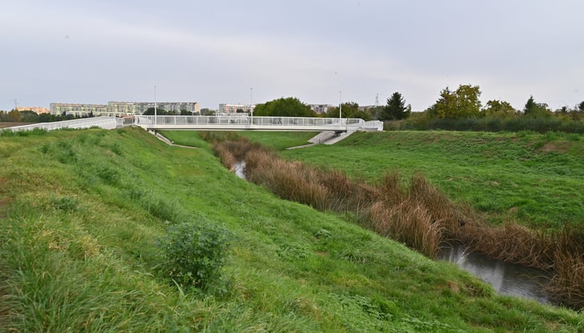 Kładka nad Ślęzą łącząca Muchobór Mały z Muchoborem Wielkim.