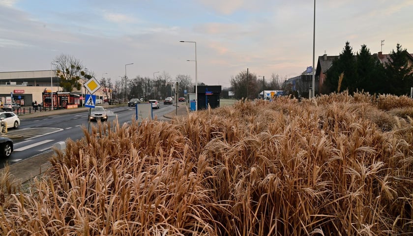 Powiększ obraz: W miejscu 