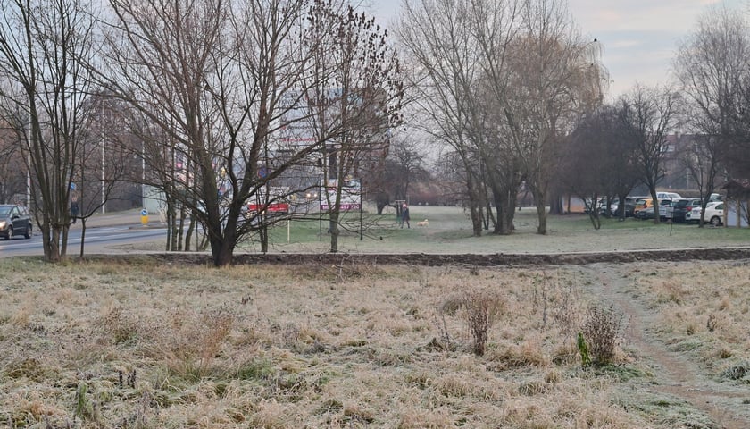 Powiększ obraz: Odcinek między Roślinną a Tyrmanda - tędy przebiegać będzie buspas wzdłuż Mińskiej