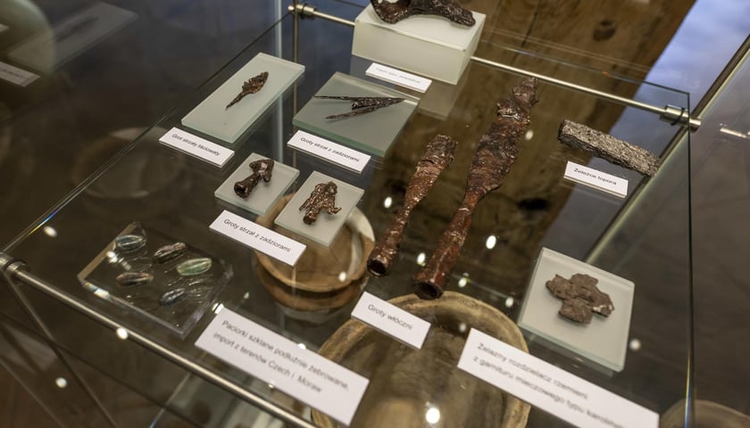 Wystawa Archeologia Pól Bietwnych we wrocławskim Arsenale