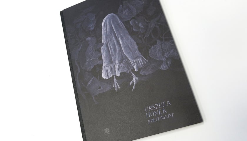 <p>Urszula Honek, Poltergeist, Wydawnictwo Warstwy</p>