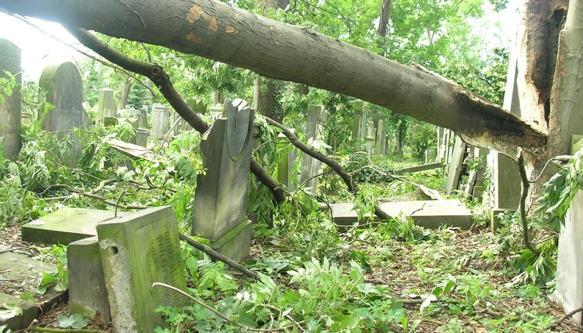 Tak wyglądał Cmentarz Żydowski zaraz po nawałnicy w lipcu