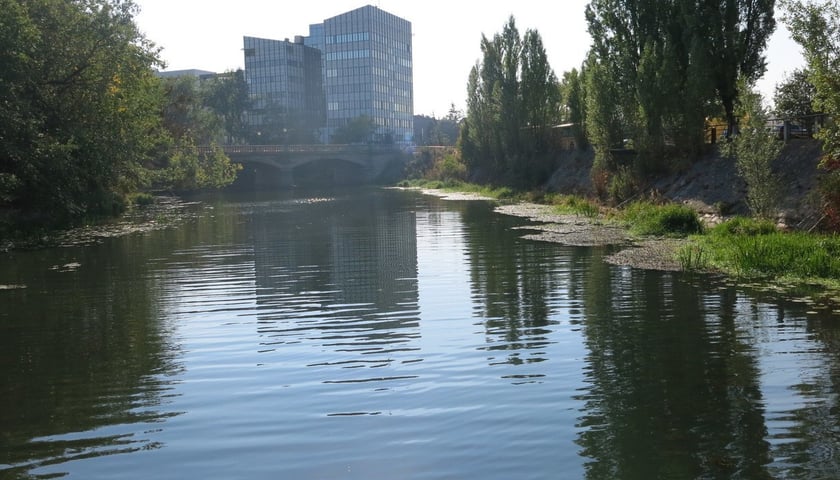 rzeka Oława we Wrocławiu