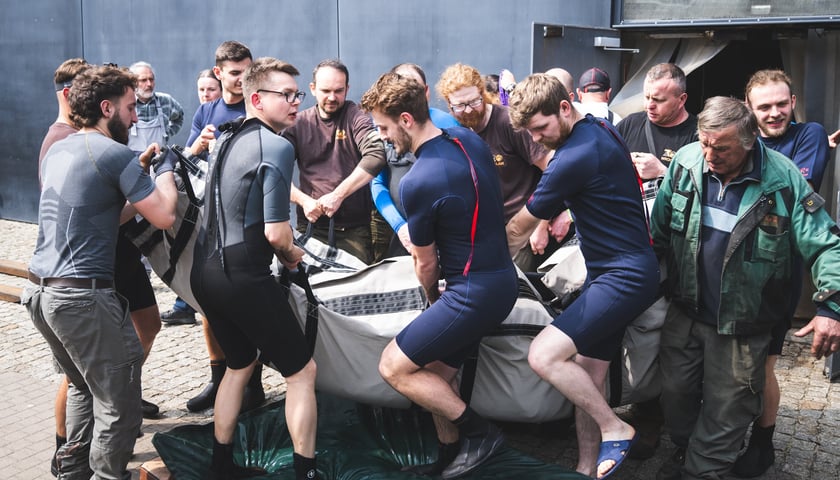 Przygotowania do transportu manata Ambrożego