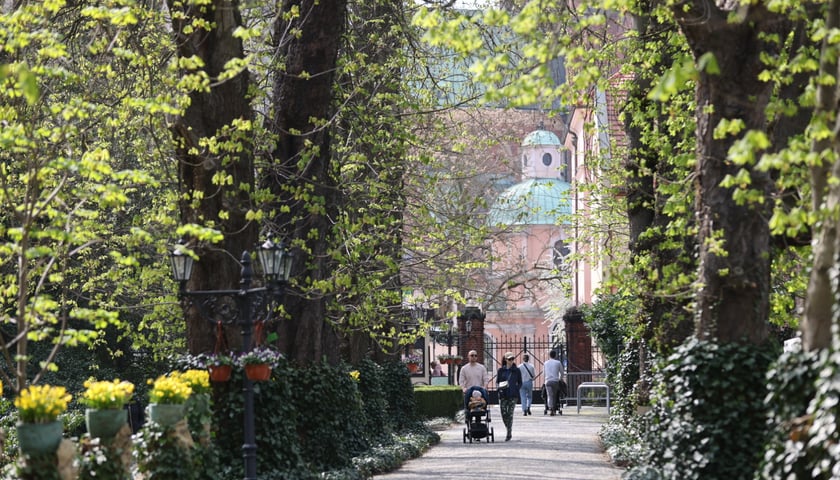 Festiwal Magnolii w Ogrodzie Botanicznym