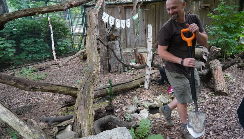 Opiekun na wybiegu żbików w Zoo