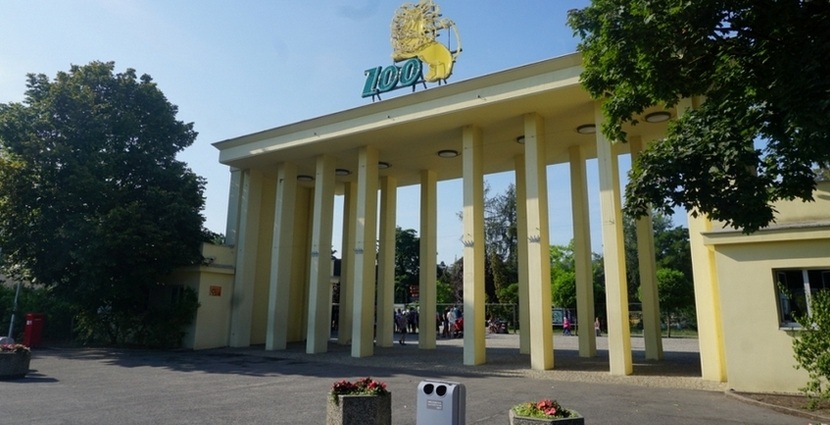 Prezes Zoo Wrocław: Zwierzęta są bezpieczne, sytuacja ogrodu stabilna