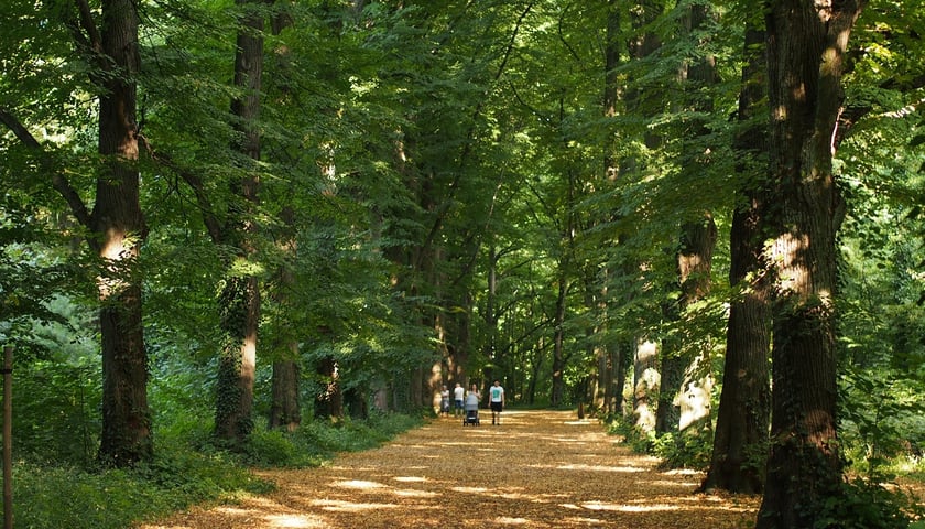 Park Grabiszyński - Zero Waste Urban Parks